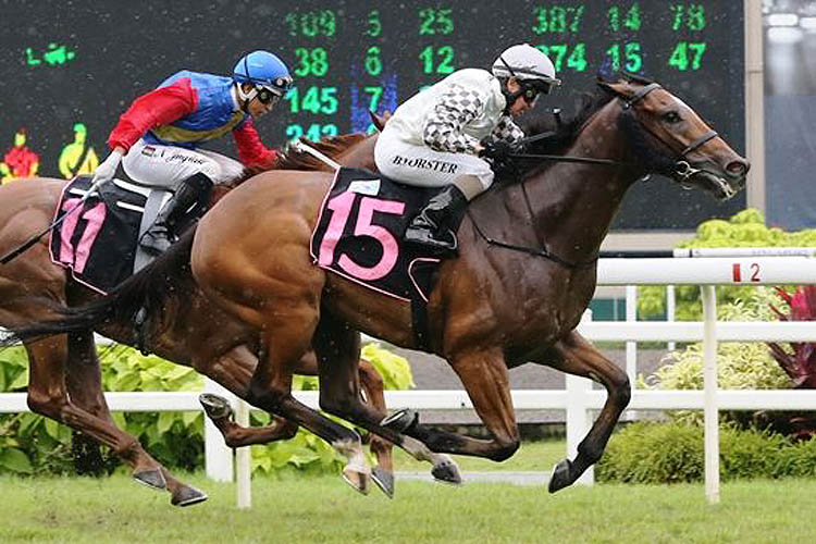 Spur Me On winning the BETTER LIFE 2012 STAKES CLASS 4