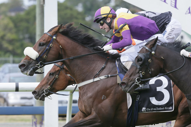 St Jean winning the Laser City Of Auckland Cup