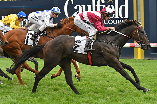 Star Exhibit winning the Thoroughbred Club 50th Stakes