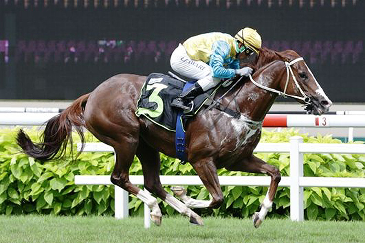 Star Genius winning the SUPER EASY 2013 STAKES CLASS 4