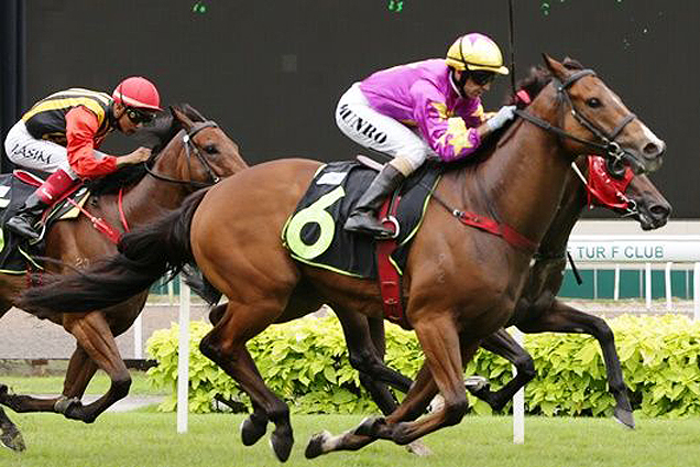 Starshine winning the PLENTIFUL MONEY STAKES CLASS 4