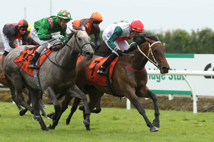 Sumstreetsumwhere winning the James & Annie Sarten Mem Stks