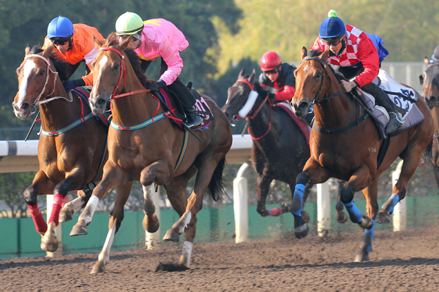 Sun Jewellery (in pink) finishes on top in batch two today at Sha Tin. Sun Jewellery (in pink) finishes on top in batch two today at Sha Tin.