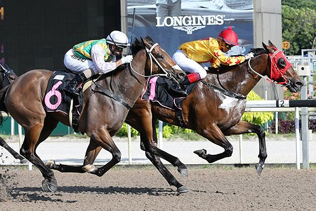 Sun Pioneer winning the KRANJI STAKES C