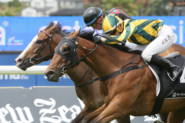 Swissta winning the Great Northern Guineas