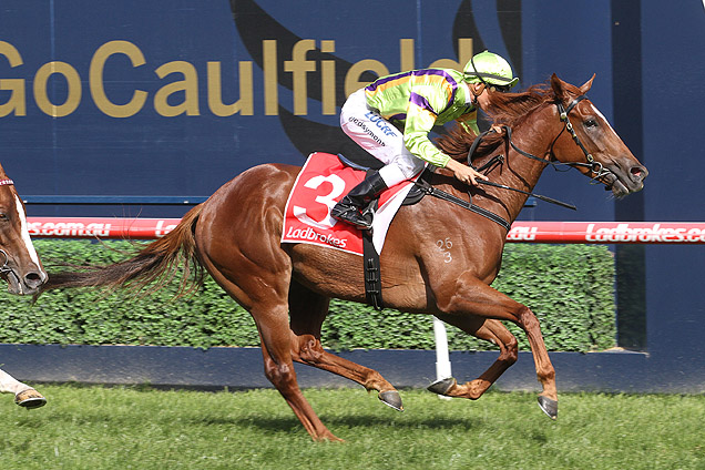Sword Of Light ticked the mile box last time. Sword Of Light ticked the mile box last time.