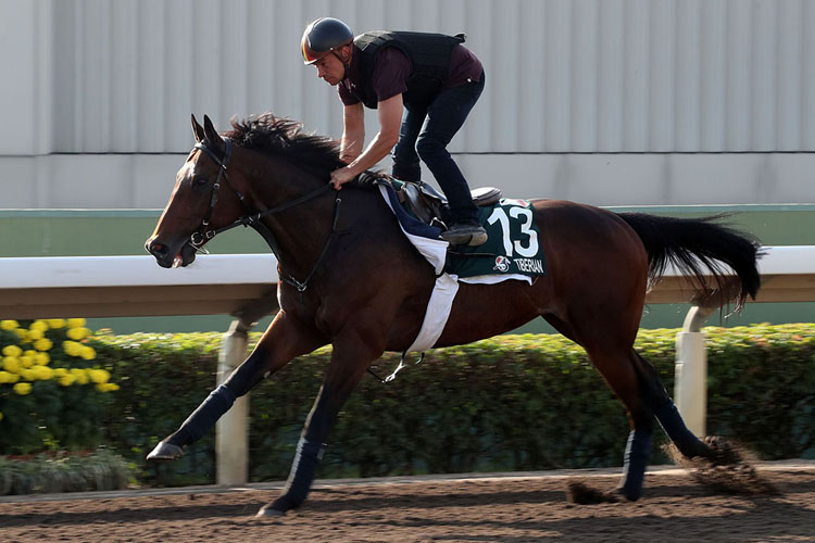 Tiberian was out for trackwork on Monday