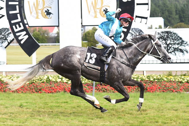 Thee Auld Floozie winning the Harcourts Thorndon Mile