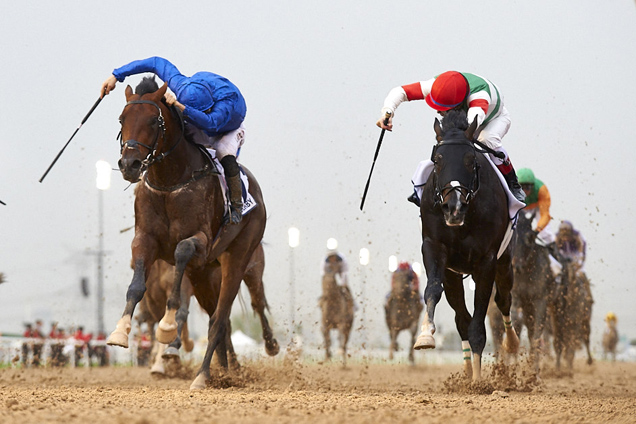 Thunder Snow winning the UAE Derby Sponsored By The Saeed & Mohammed Al Naboodah Group