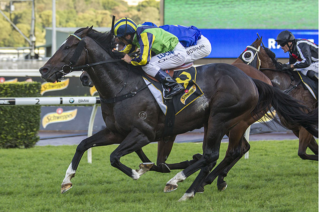 Tivaci winning the All Aged Stakes