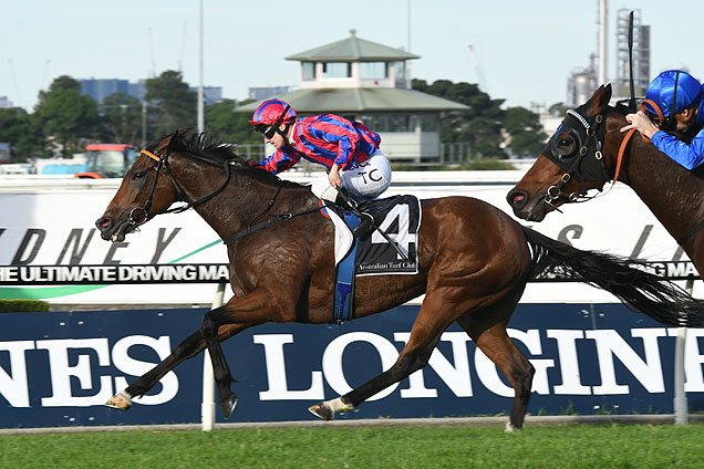 Top Of My List winning the Syd. Markets Lord Mayor's Cup