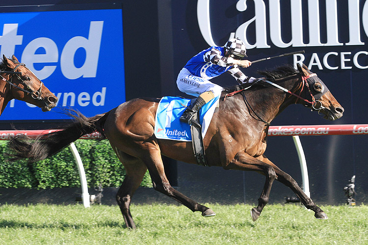 Tosen Stardom winning the United Petroleum Toorak Hcp