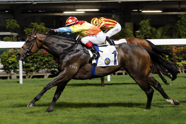 Travel Comforts winning the KING'S PARK HANDICAP Travel Comforts winning the KING'S PARK HANDICAP