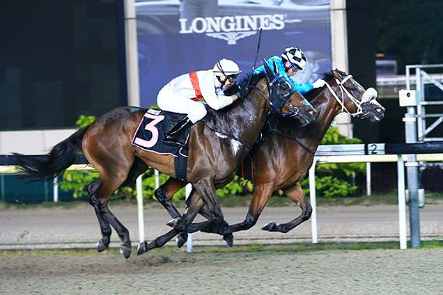 Turquoise King(inside) winning the CLASS 4