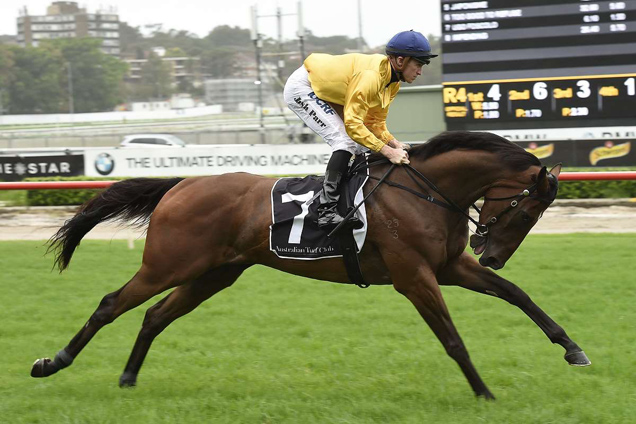 Ugo Foscolo running in the Canterbury Bmw Stakes