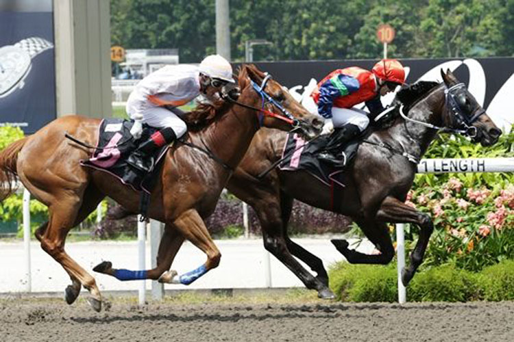 Unconquered winning the CLASS 4