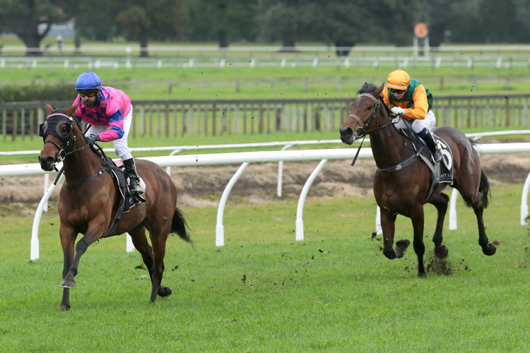 Underthemoonlight winning the Tauranga Classic