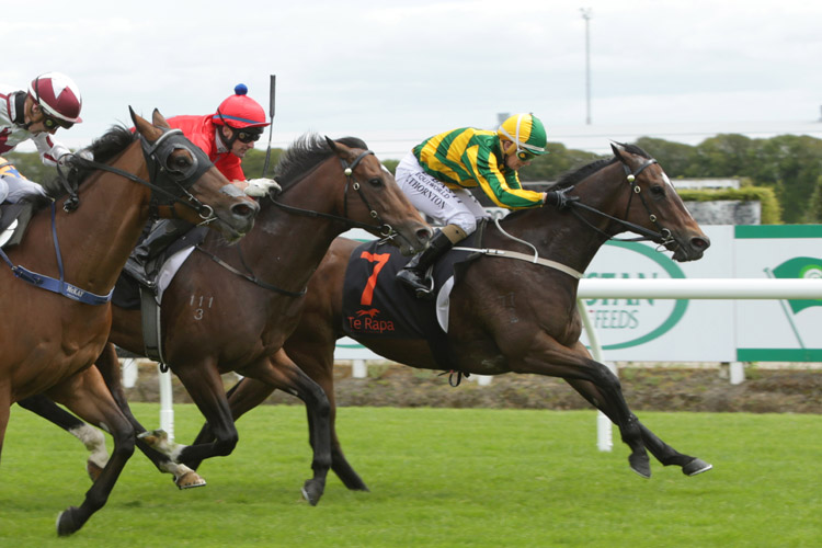 Untamed Diamond winning the Legacy Lodge Sprint