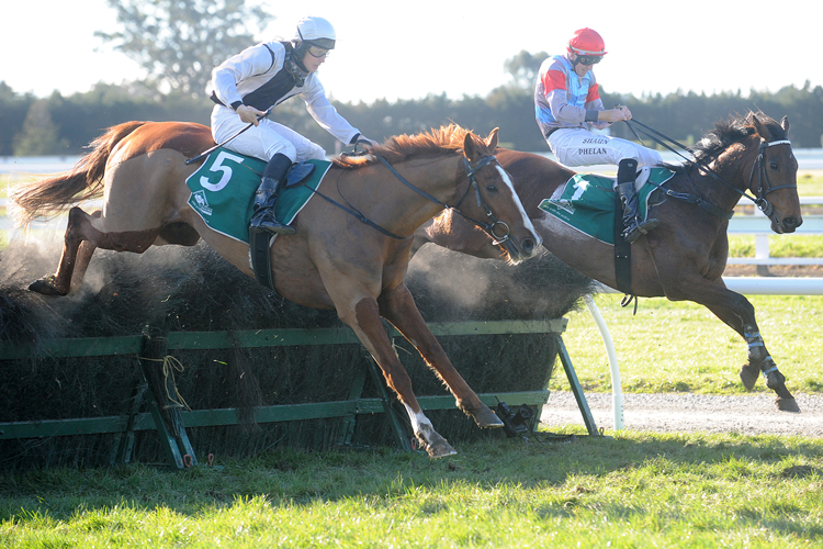 Upper Cut winning the Racecourse Hotel G.N. Stpl