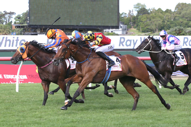 Volpe Veloce winning the Ray White N.Z Hcp