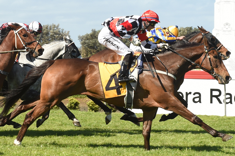 Wait A Sec winning the Kaponga Hotel Egmont Cup