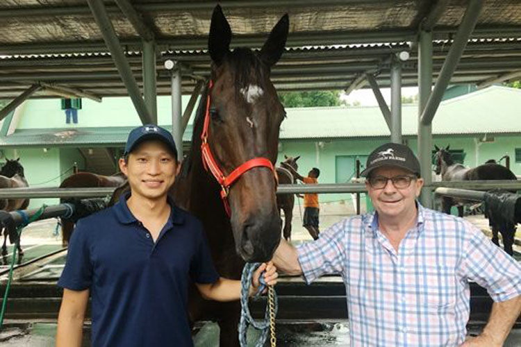 War Affair flanked by Bruce Marsh (right) and assistant-trainer Jason Ong at the stables.