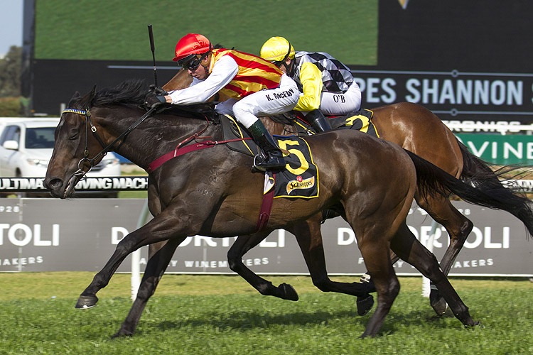 Washington Heights winning the Schweppes Shannon Stakes