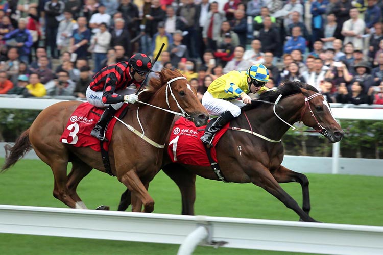 Werther has been set to peak in the Hong Kong Cup