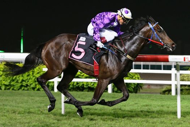 Why Not winning the RESTRICTED MAIDEN Why Not winning the RESTRICTED MAIDEN