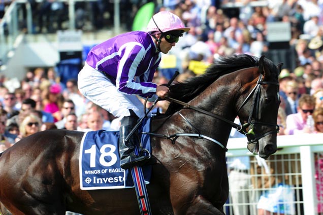 WINGS OF EAGLES after winning the Epsom Derby.