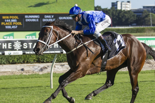 Winx winning the The Star Apollo Stakes