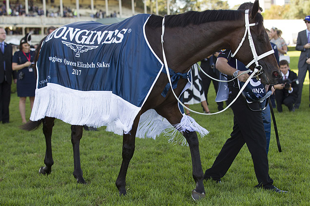 Winx parading after the Queen Elizabeth Stakes Winx parading after the Queen Elizabeth Stakes