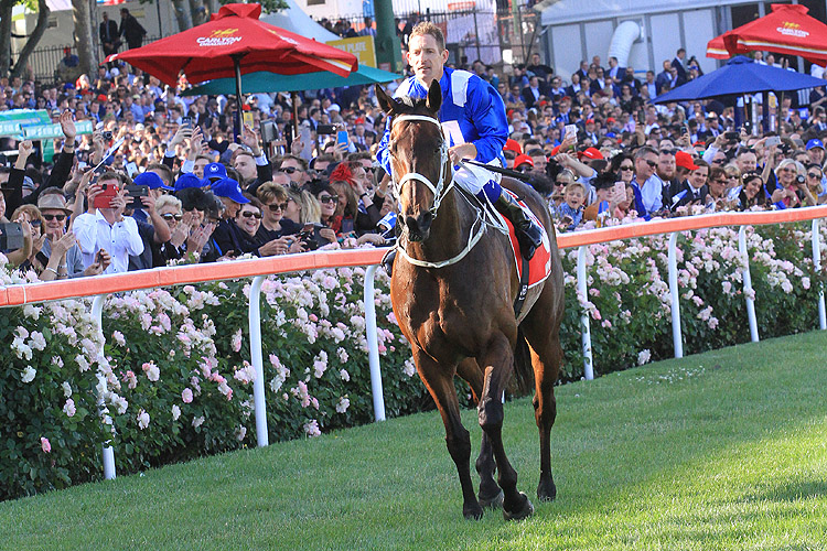 Winx Winx