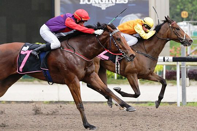 Wonderful winning the LONGEVITY STAKES OPEN BENCHMARK 83