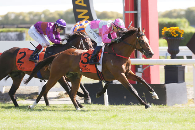 Wyndspelle winning the Darci Brahma Waikato Guineas