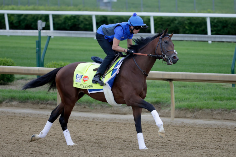 THUNDER SNOW runs on the track during the morning training for the Kentucky Derby at Churchill Downs in Louisville, Kentucky.