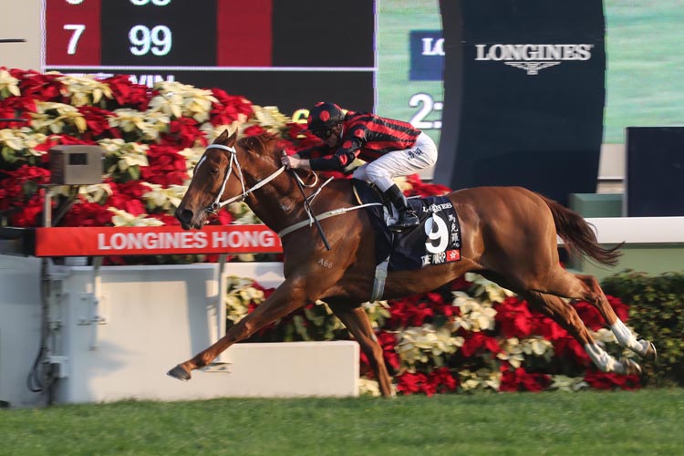 Time Warp (No. 9) takes the LONGINES Hong Kong Cup (Group 1, 2000m) at Sha Tin Racecourse today for trainer Tony Cruz and jockey Zac Purton.