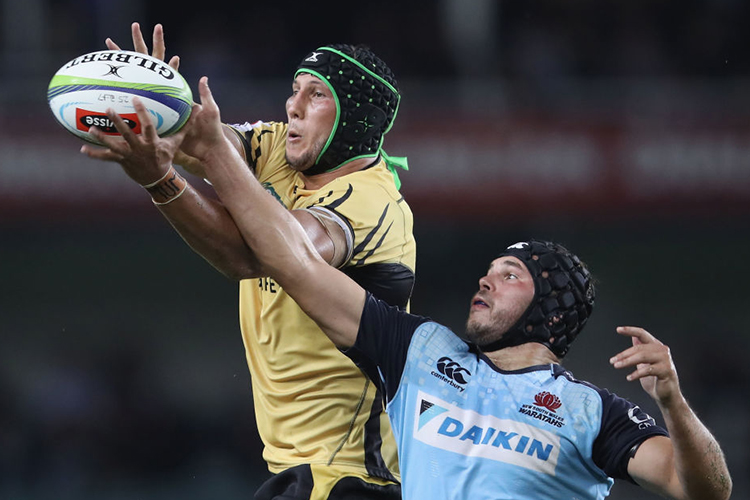 ADAM COLEMAN of the Force and MICHAEL WELLS of the Waratahs compete for the ball in the lineout during the Super Rugby match between the Waratahs and the Force at Allianz Stadium in Sydney, Australia.