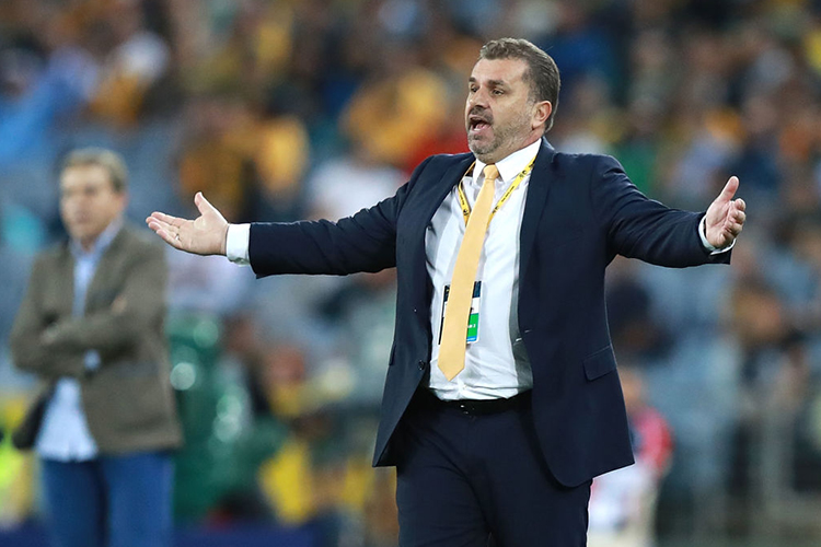 Australia Coach ANGE POSTECOGLOU looks on during the 2018 FIFA World Cup Asian Playoff match between the Australian Socceroos and Syria at ANZ Stadium in Sydney, Australia.