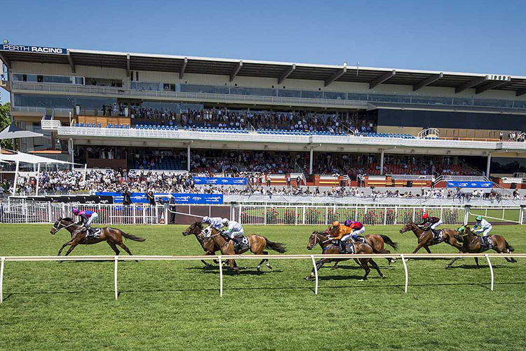 Racecourse : Ascot (Australia)