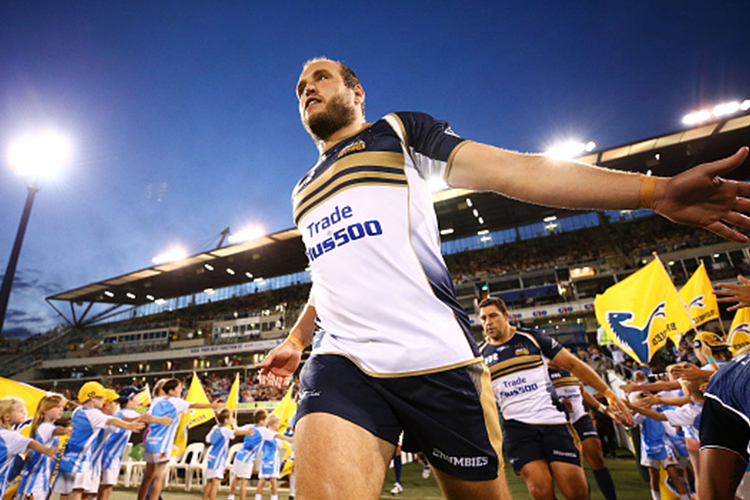 Brumbies runs onto the field during a Super Rugby match.