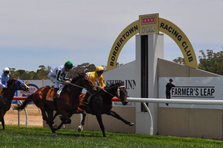 Racecourse : Bordertown (Australia)