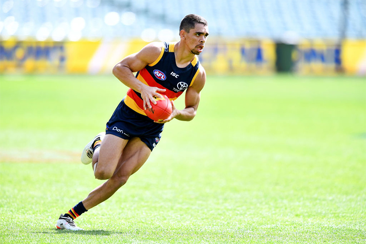 CHARLIE CAMERON during an Adelaide Crows AFL Grand Final training session at Adelaide Oval in Adelaide, Australia.