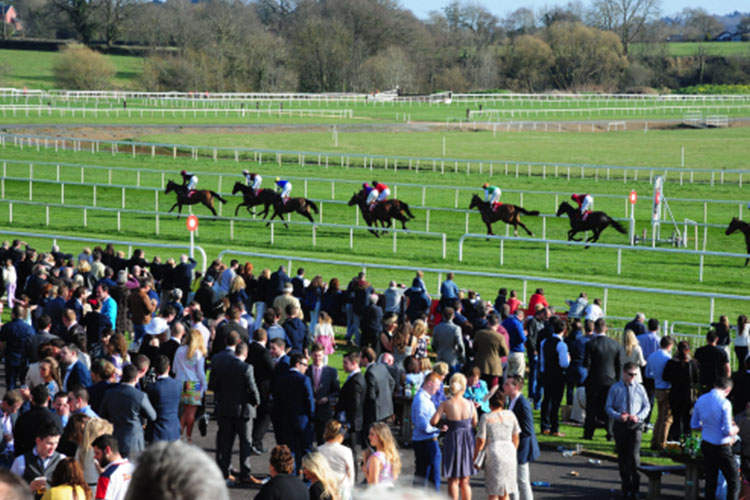Racecourse : Cork (IRE)
http://www.corkracecourse.ie/wp-content/uploads/2016/04/00-Cork-5415-14.jpg
