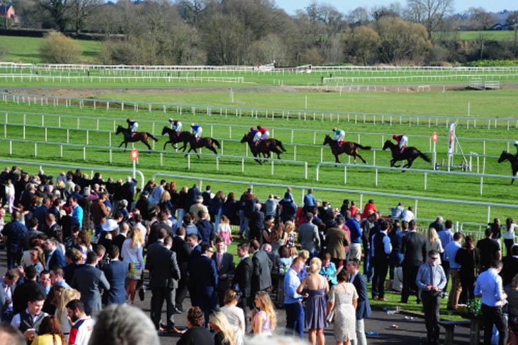 Racecourse : Cork (Ireland) http://www.corkracecourse.ie/wp-content/uploads/2016/04/00-Cork-5415-14.jpg