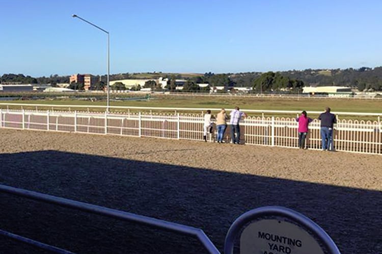 Racecourse : Devonport (Australia)