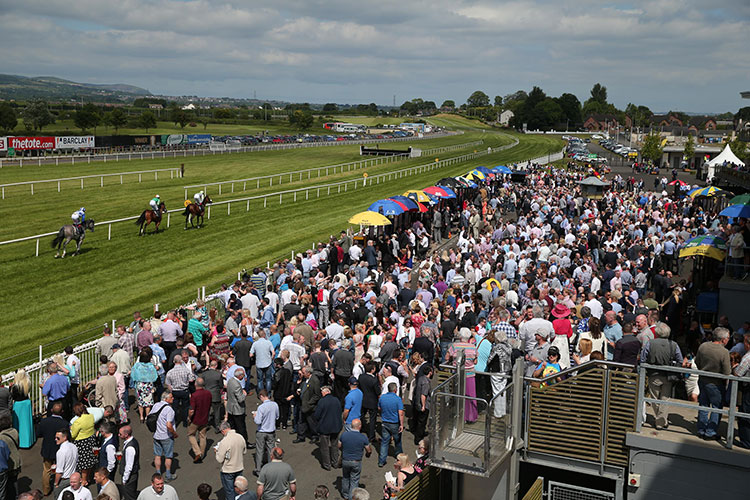 Racecourse : Down Royal (IRE)