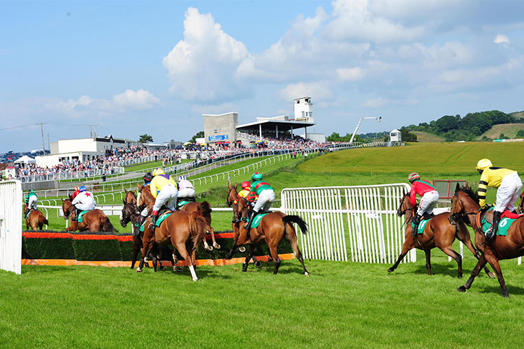 Racecourse : Downpatrick (IRE)
https://www.discovernorthernireland.com/contentassets/28dd5e4e3f4a4ba29efc5c946606bb95/downpatrick-racecourse
