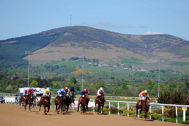 Racecourse : Dundalk (IRE)
http://dundalkstadium.com/wp-content/gallery/horse-racing/dundalk-5-10-1.jpg