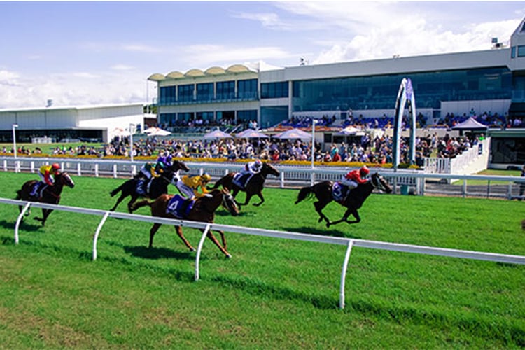 Racecourse : Gold Coast (Australia)